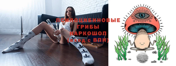 тгк Ростов