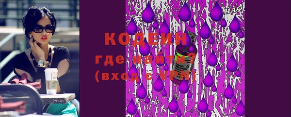 гашик Сатка