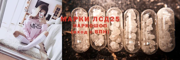 тгк Ростов